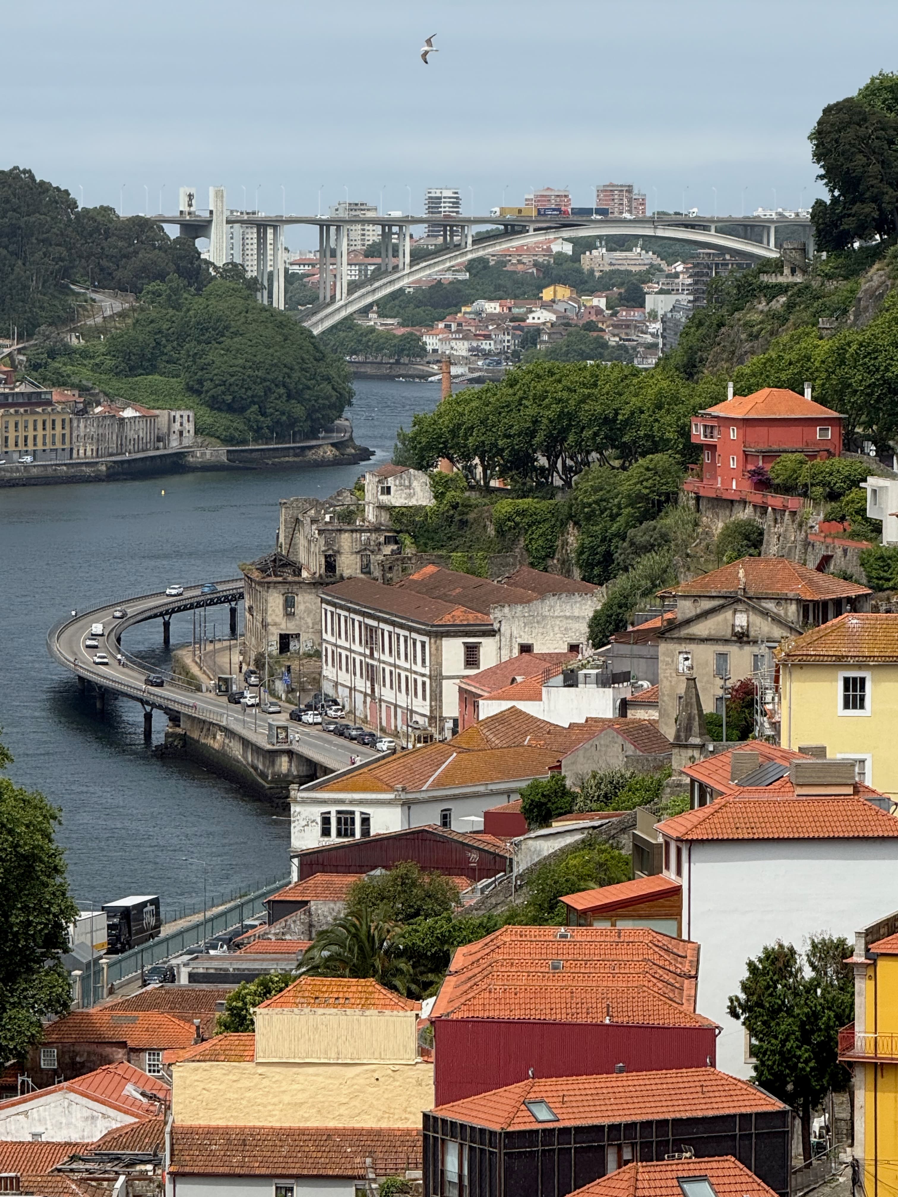 A beautiful view of Porto's hillside houses leading down to the river with the large Arrábida Bridge in the distance.